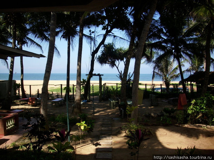 Райский вид с нашего балкона. Негомбо, Шри-Ланка