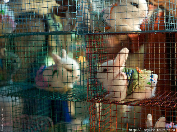 Толи игрушки, толи сувениры :) Остров Самуи, Таиланд