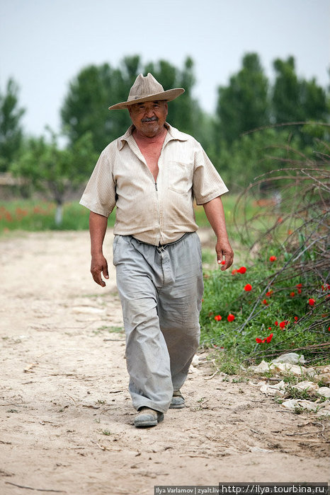 По дороге встретили весёлого фермера. Узбекистан