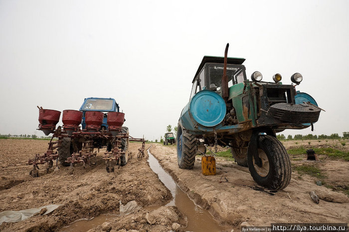 Необычный трехколёсный трактор. Узбекистан