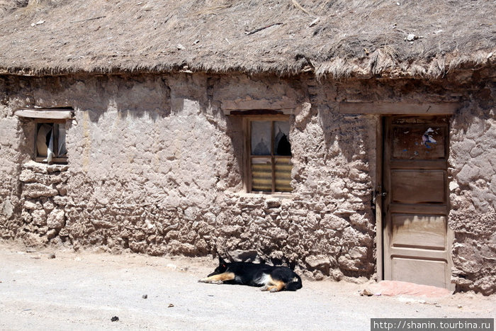 Обычный деревенский дом Колчани, Боливия