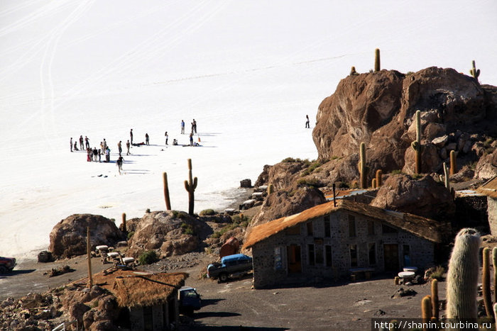 Кактусовый остров Уюни, Боливия