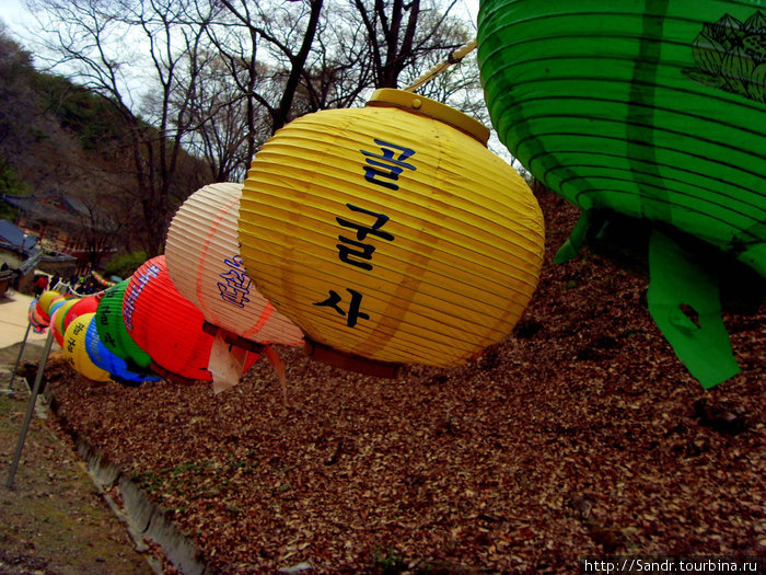 «Корея. Великие перемены». Корейский Шаолинь - 1 Кенджу, Республика Корея