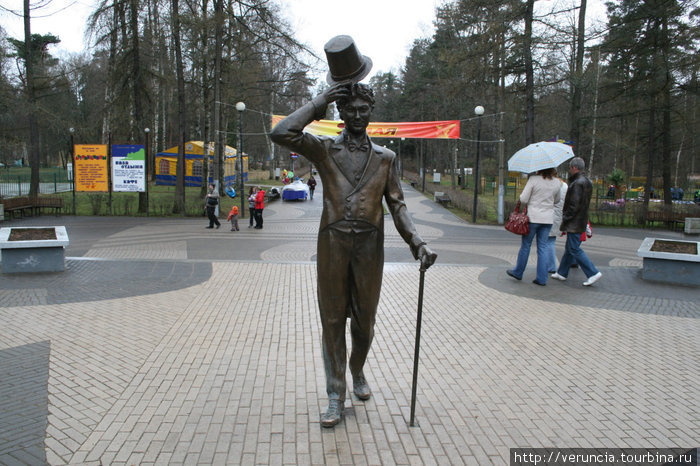 Памятник Георгию Вицину был открыт в Зеленогорском парке культуры и отдыха 26 июля 2008 года. Автор скульптуры — скульптор Юрий Кряквин. Вицин — уроженец Терийок, он родился здесь 23 апреля 1918 года.