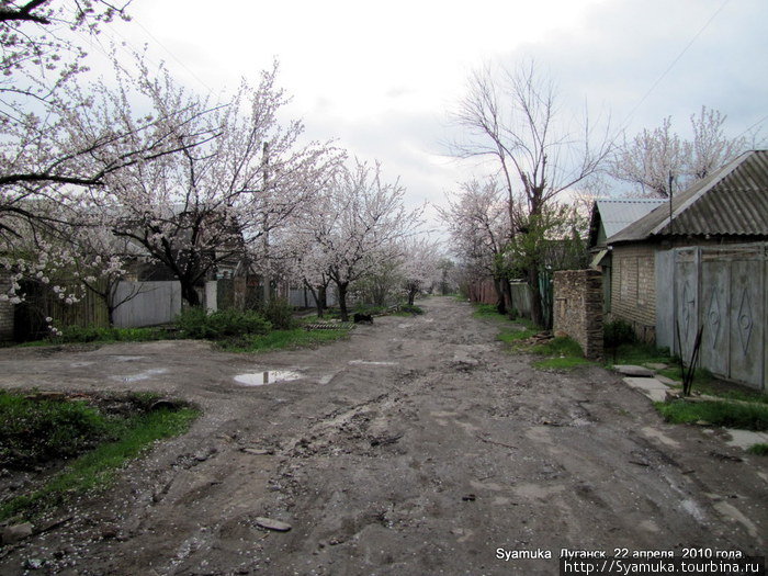 Улица Губского. Конечно, если давать оценку асфальтовому покрытию улицы, то оно не будет положительным. Асфальтового покрытия, практически, не было. Не было и тротуаров. Луганск, Украина