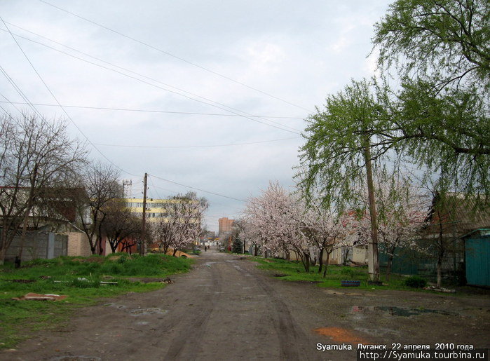 Еще одна улица частного сектора... Луганск, Украина