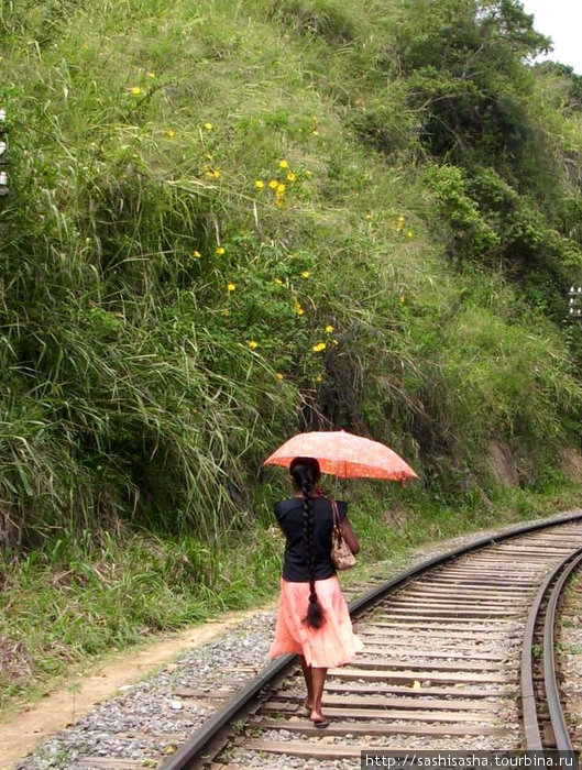 Это не от дождя, это от солнца! И косы у девушек невероятной длины. Элла, Шри-Ланка