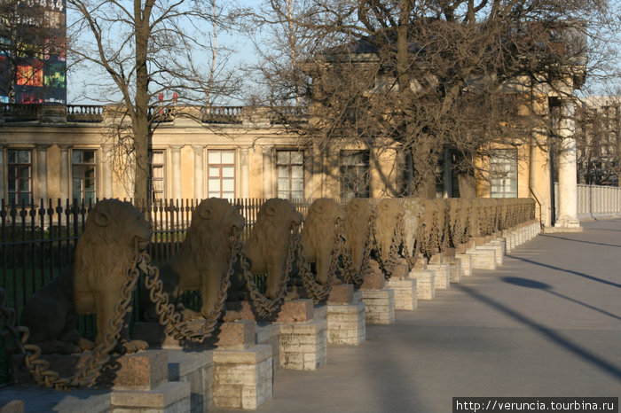 29 львов, скованных одной цепью. Санкт-Петербург, Россия
