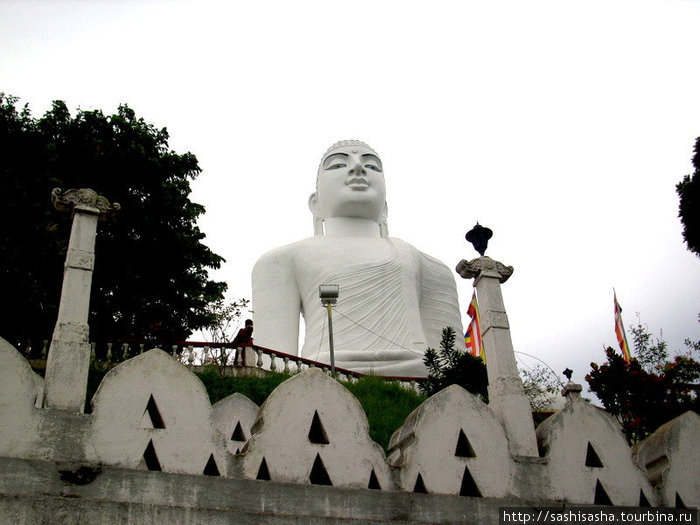Белого Будду видно практически с любого места в Канди. Канди, Шри-Ланка