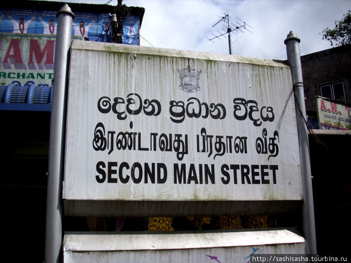 Разная Шри-Ланка Шри-Ланка