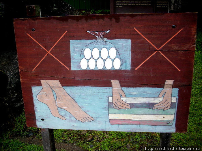 Яйцы варить запрещено! Кампонг-Поринг, Малайзия
