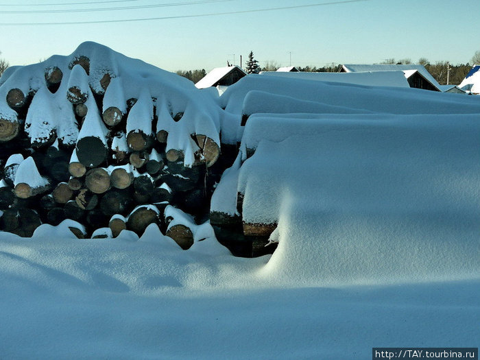 Рождественские морозы в Бузулукском бору Бузулук, Россия