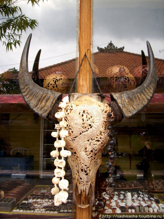 Вот такой резной череп всего за 150$. Бали, Индонезия