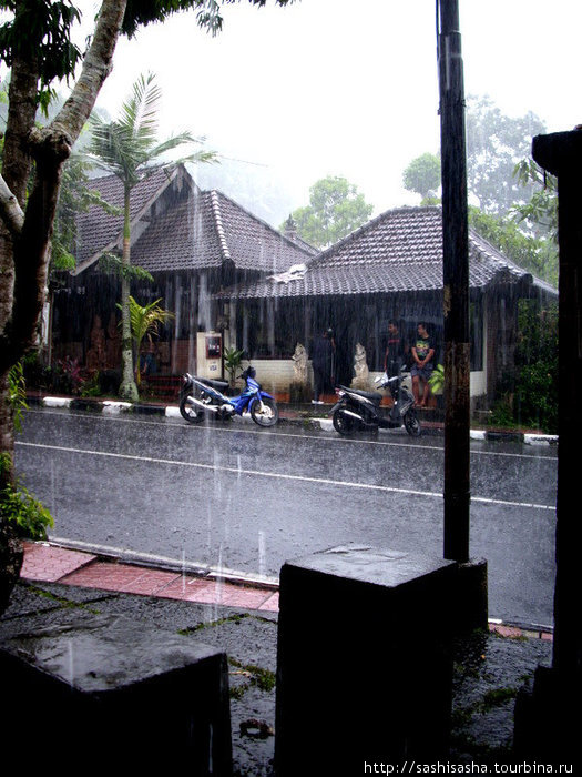В наш единственный день в Убуде пять часов без остановки лил дождь. Бали, Индонезия