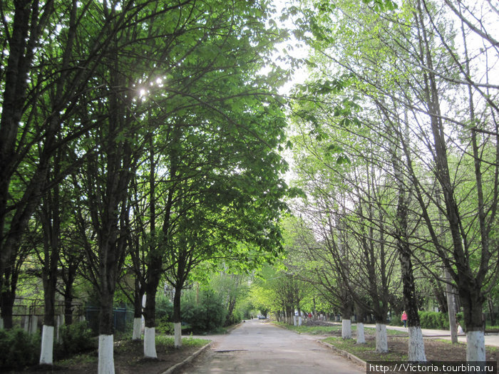 В город пришла весна Ставрополь, Россия