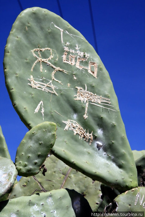 Автографы на кактусе — на статуе Христа, слава Богу, никто свои автографы не оставляет! Кочабамба, Боливия