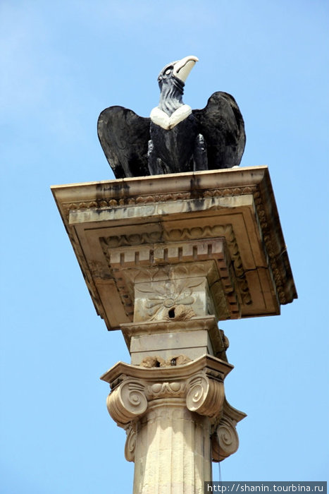 Орел на колонне Кочабамба, Боливия