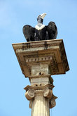 Орел на колонне