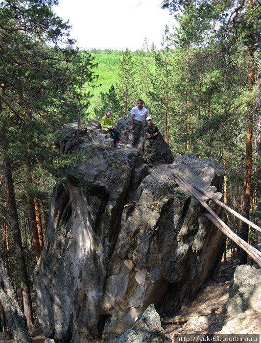 Сосны и камни Самарская область, Россия