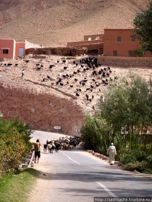 Ребят пустили погулять. Бульман, Марокко