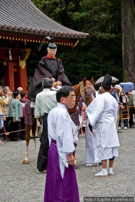 Явно самый почетный участник церемонии Камакура, Япония
