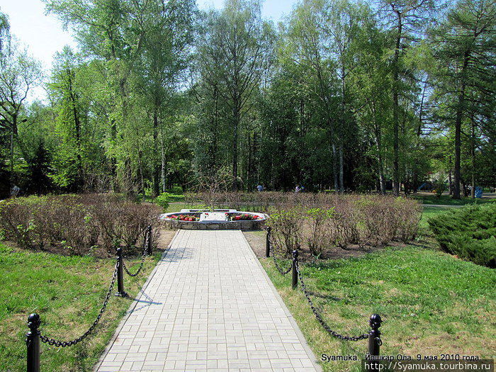 Дерево памяти. Йошкар-Ола, Россия