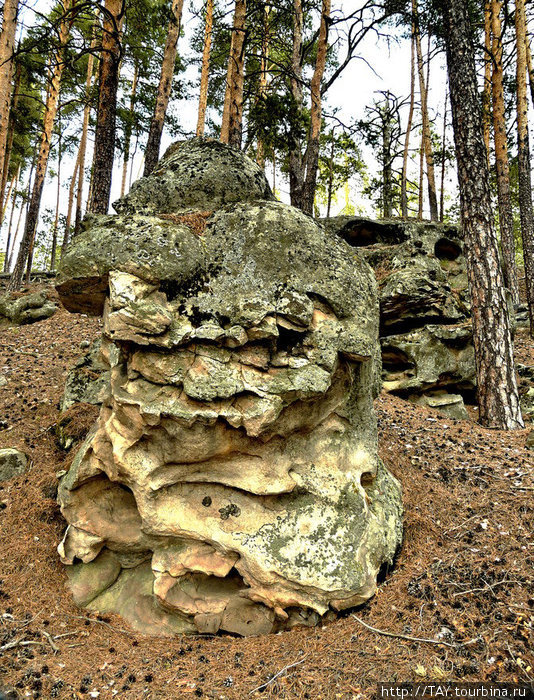 Майское путешествие в Каменный лес Сызрань, Россия