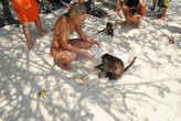 Monkey beach