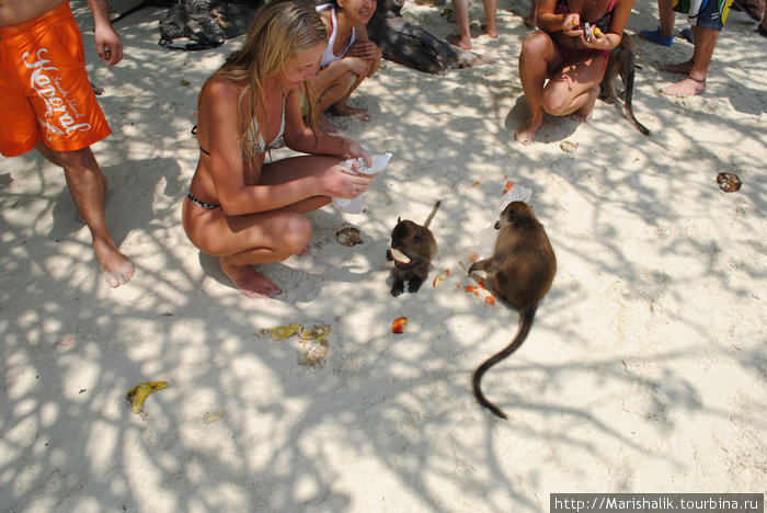 Monkey beach Острова Пхи-Пхи, Таиланд