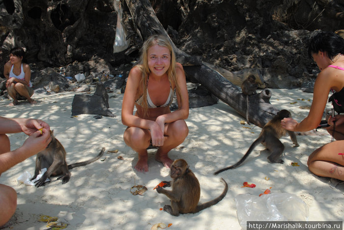 Monkey beach Острова Пхи-Пхи, Таиланд