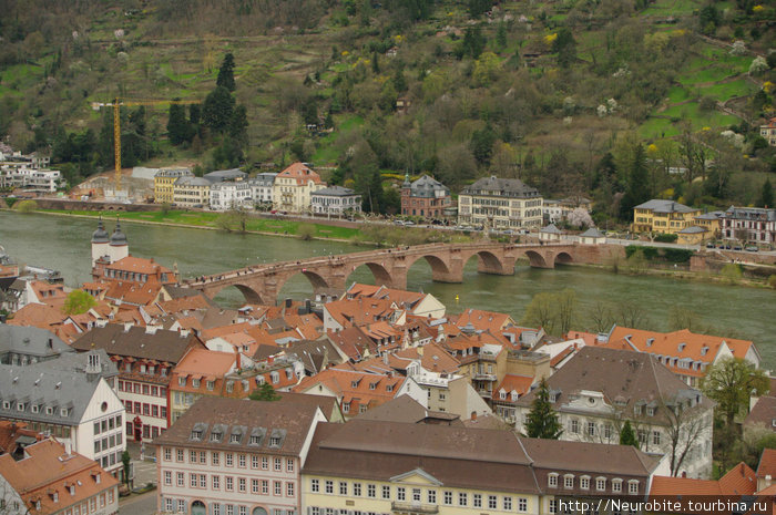 Хайдельбергский замок (Heidelberger Schloss) - I Гейдельберг, Германия