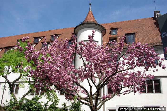 Монастырь Бебенхаузен (Kloster Bebenhausen) - III