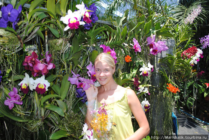 Ферма орхидей на острове Пхукет Остров Пхукет, Таиланд
