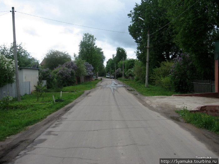 Цветет сирень. Красногорск, Россия