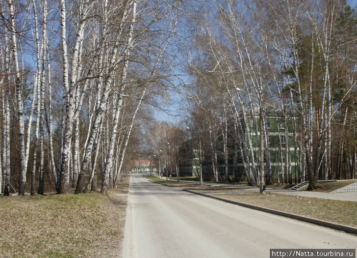 Запоздалая весна Новосибирск, Россия