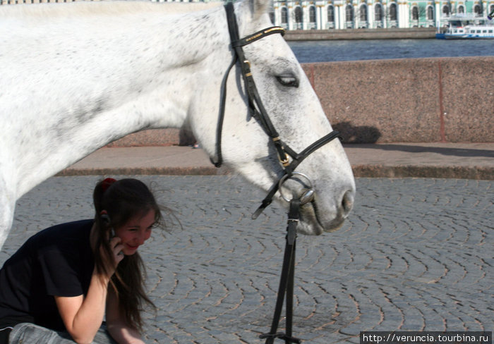 Про девочку и лошадь. Санкт-Петербург, Россия
