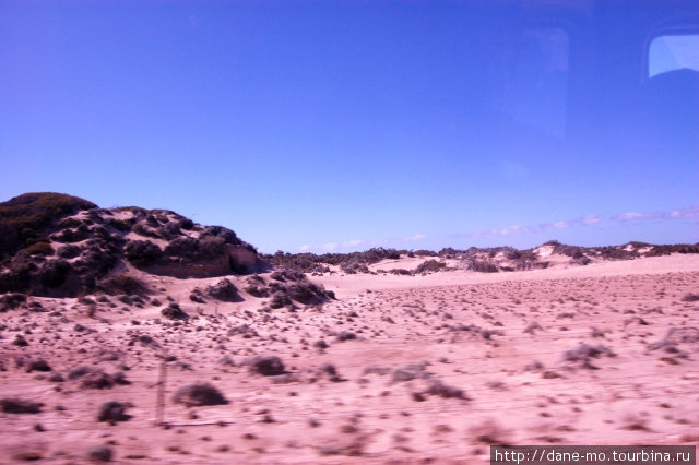 Некоторые дюны обросли кустарником Штат Южная Австралия, Австралия