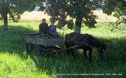 Давно уехала в Первомайск женщина, которую муж подвез к остановке на одинокой лошадке.