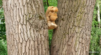 Самый известный персонаж залез на дерево.