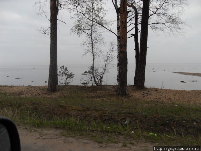 Финский залив ранним утром Сосновый Бор, Россия