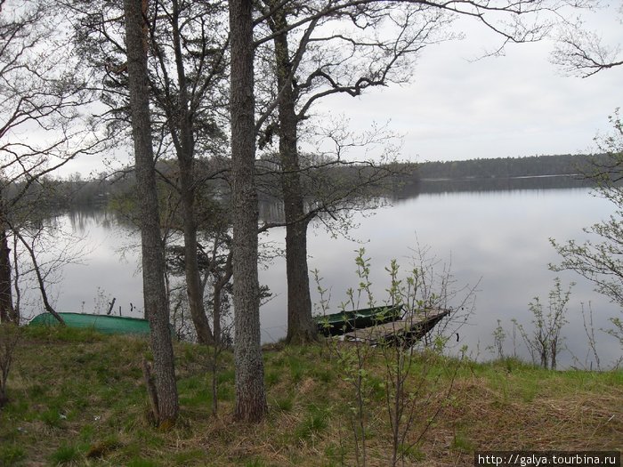 Шепелевское озеро (погранзона) Сосновый Бор, Россия