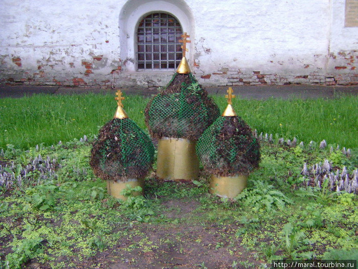 Декоративно-цветочные купола Ярославль, Россия