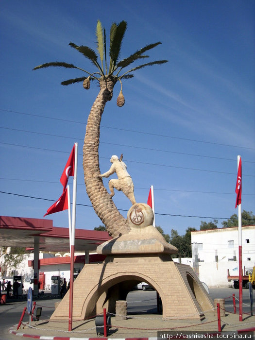 Пальмовая роща Кебили, Тунис