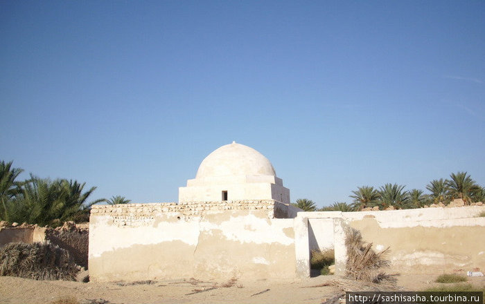 Пальмовая роща Кебили, Тунис