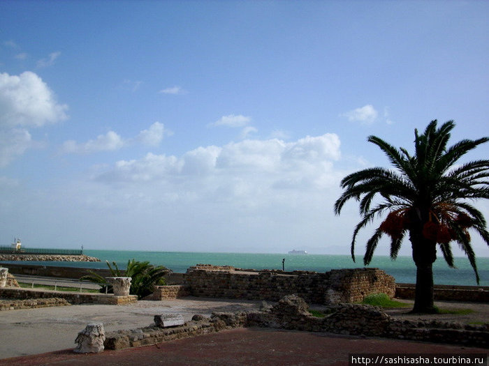 Руины Карфагена Тунис, Тунис