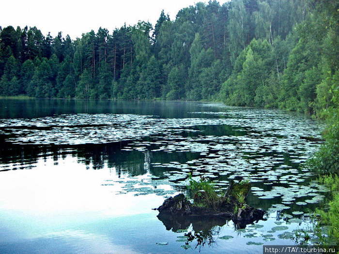 В поисках Китеж-града Нижегородская область, Россия