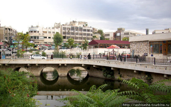 Ливанское гостеприимство в Хаме Хама, Сирия