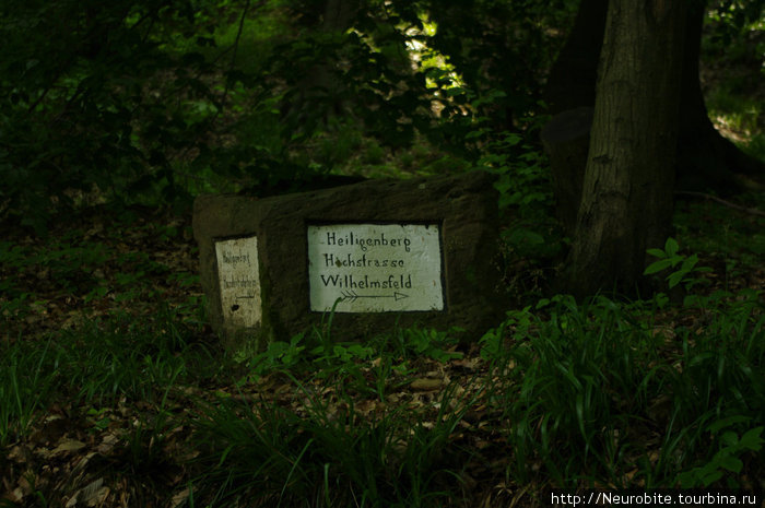 Тропа философов (Philosophenweg) - IV Гейдельберг, Германия