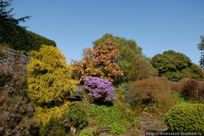 Торосей - замок и сад Остров Малл, Великобритания