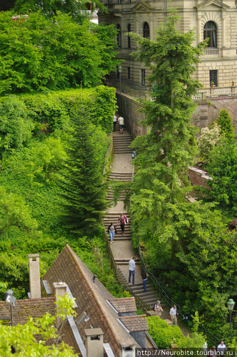Извилистая тропа к замку Гейдельберг, Германия